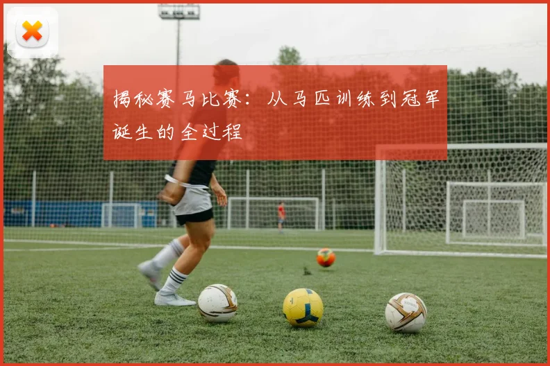 揭秘赛马比赛：从马匹训练到冠军诞生的全过程